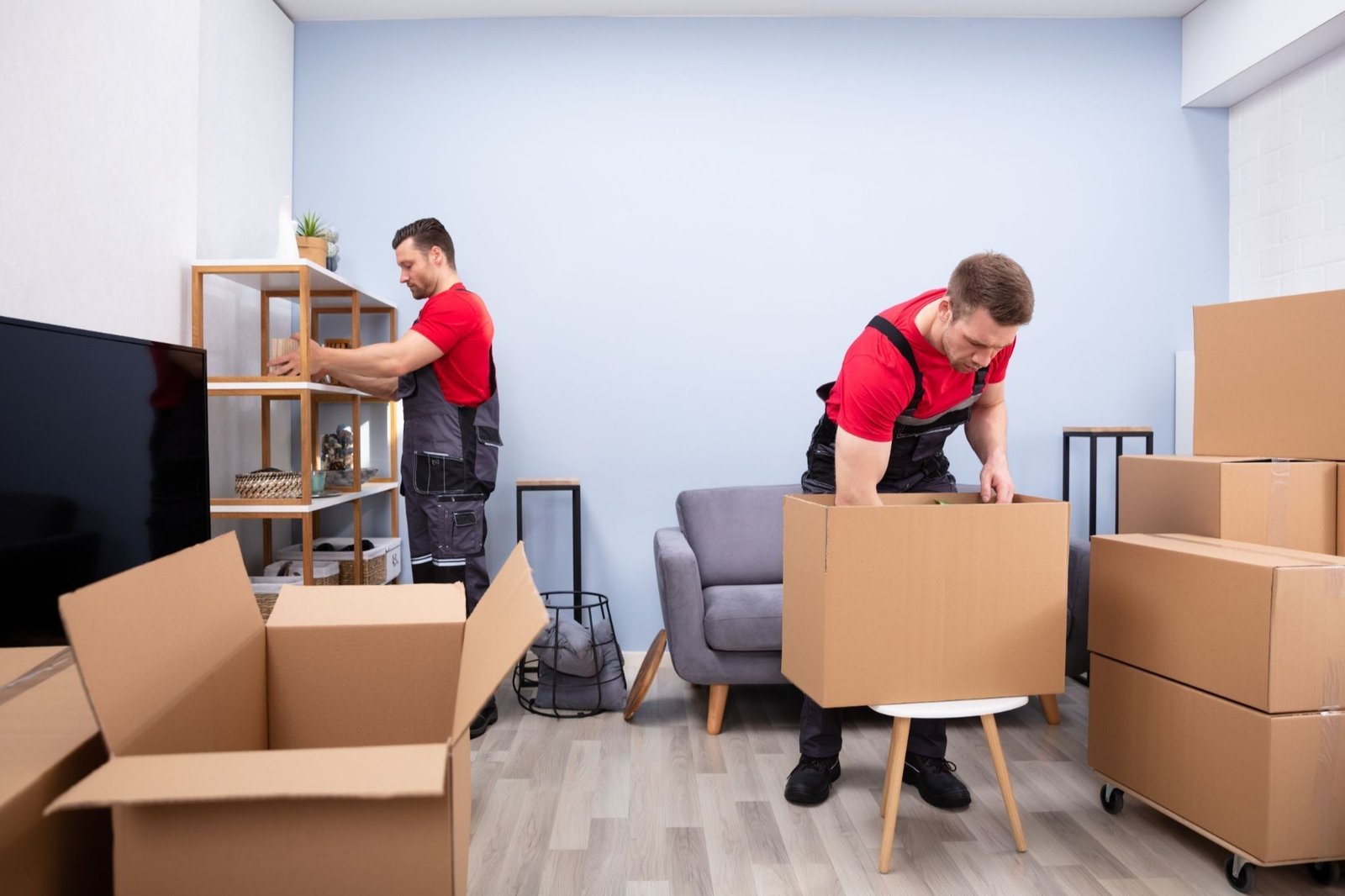 Office Shifting